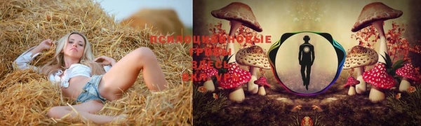 меф VHQ Абдулино