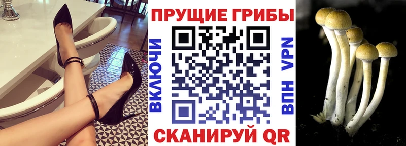 Галлюциногенные грибы Psilocybe Алапаевск